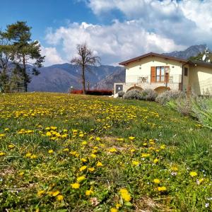 Agriturismo Al Franet