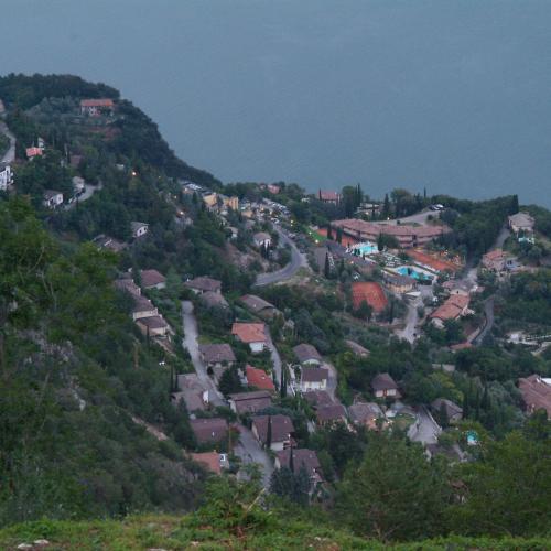 Bassanega