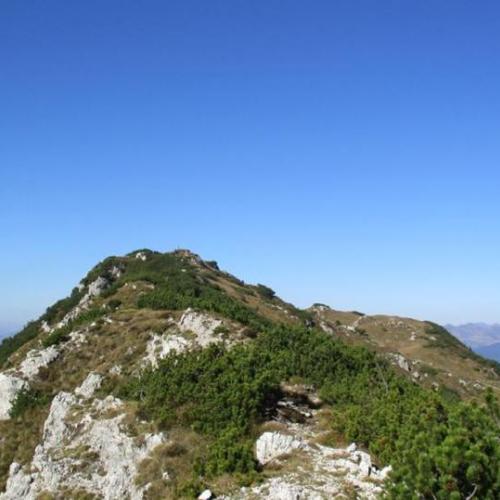 Monte Caplone 